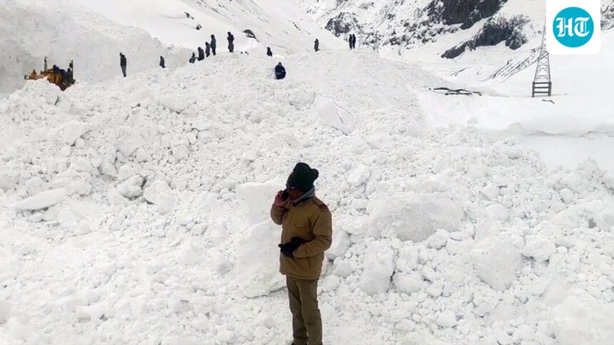 snow-in-the-hills-and-rain-in-the-plains-as-western-disturbances-sweep-northern-india