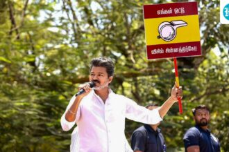 ‘wants-to-be-a-lion,-but-has-to-get-on-ground’:-why-vijay’s-tvk-is-not-in-an-alliance-for-tamil-nadu-election-2026