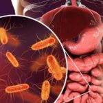 scientifically-speaking:-plastic-pharmacy