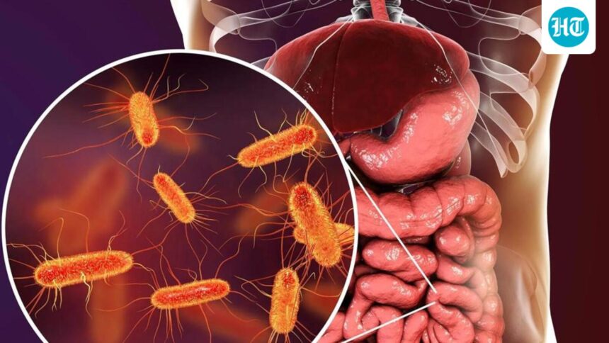 scientifically-speaking:-plastic-pharmacy