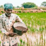 cabinet-approves-fertilizer-subsidy-worth-rs-41,534-crore,-enhances-support-ahead-of-kharif-season