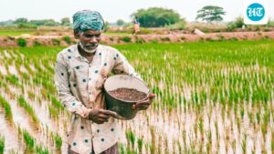 cabinet-approves-fertilizer-subsidy-worth-rs-41,534-crore,-enhances-support-ahead-of-kharif-season
