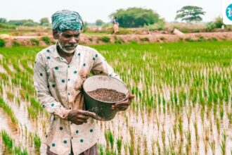 cabinet-approves-fertilizer-subsidy-worth-rs-41,534-crore,-enhances-support-ahead-of-kharif-season