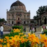 delhi’s-‘urban-oasis’:-the-90-acre-lodhi-park-is-90-years-old