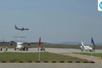 proposed-puri-airport-may-threaten-migratory-birds,-turtles:-wildlife-institute