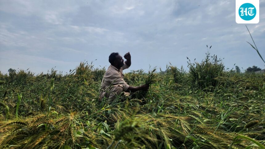 imds-lower-than-normal-monsoon-forecast-for-2026-threatens-agriculture-and-the-economy | GIBN imd’s-lower-than-normal-monsoon-forecast-for-2026-threatens-agriculture-and-the-economy