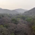 drawing-forest-boundaries-digitally:-government-to-the-states