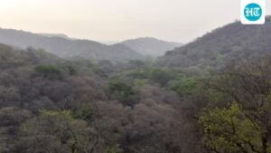 drawing-forest-boundaries-digitally:-government-to-the-states