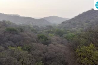 drawing-forest-boundaries-digitally:-government-to-the-states