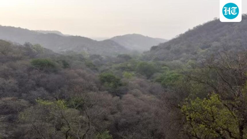 drawing-forest-boundaries-digitally-government-to-the-states | GIBN drawing-forest-boundaries-digitally:-government-to-the-states