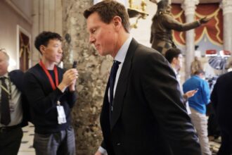 david-ellison-will-not-appear-at-a-senate-hearing-on-the-warner-bros.-deal-due-to-the-death-of-a-family-member