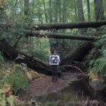 humboldt-usa-explores-how-our-relationship-with-nature-has-changed-through-the-perspective-of-an-early-german-environmental-activist