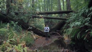 humboldt-usa-explores-how-our-relationship-with-nature-has-changed-through-the-perspective-of-an-early-german-environmental-activist