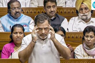 the-government-wants-to-change-the-electoral-map-and-withdraw-representation:-rahul