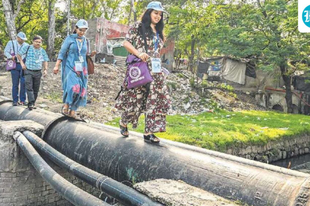 census-troopers:-teachers-walk-out-as-list-of-houses-begins-in-delhi