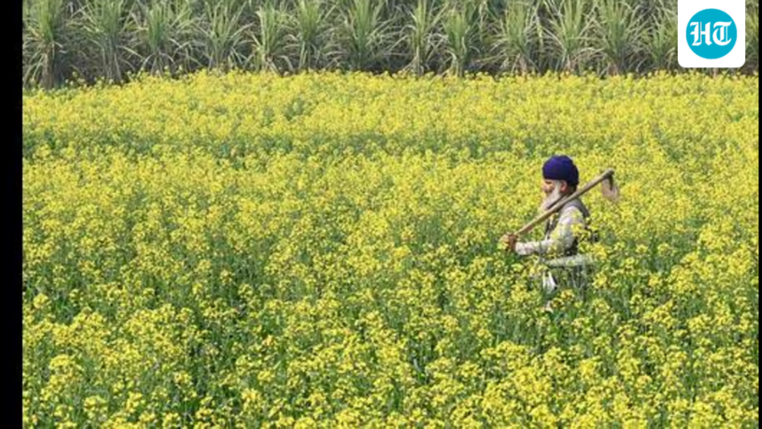 why-el-nino-leaves-pain-in-its-wake