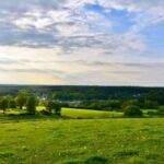 states-urge-the-center-to-amend-and-clarify-grassland-ecosystems-under-the-afforestation-act