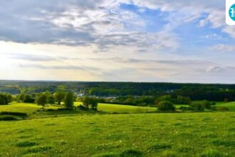 states-urge-the-center-to-amend-and-clarify-grassland-ecosystems-under-the-afforestation-act