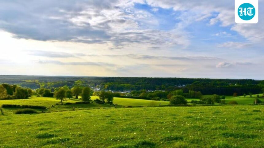 states-urge-the-center-to-amend-and-clarify-grassland-ecosystems-under-the-afforestation-act