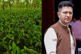 in-the-demands-of-tea-garden-workers-in-bengal-ahead-of-the-elections,-raghav-chadha-mentioned