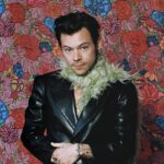 harry-styles’-ex-girlfriends:-all-of-the-singer’s-past-relationships-before-zoe-kravitz