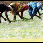 expropriation-of-mp-lands:-the-council-of-ministers-approves-compensation-of-up-to-4-times-its-market-value