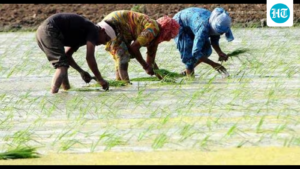 expropriation-of-mp-lands:-the-council-of-ministers-approves-compensation-of-up-to-4-times-its-market-value