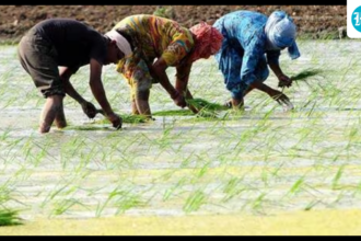 expropriation-of-mp-lands:-the-council-of-ministers-approves-compensation-of-up-to-4-times-its-market-value