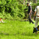 kerala-orders-a-judicial-inquiry-into-the-explosion-at-a-fireworks-unit-in-thrissur