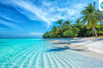 national-commercial-bank-issues-advice-to-indians-traveling-to-the-maldives-on-strict-anti-drug-laws