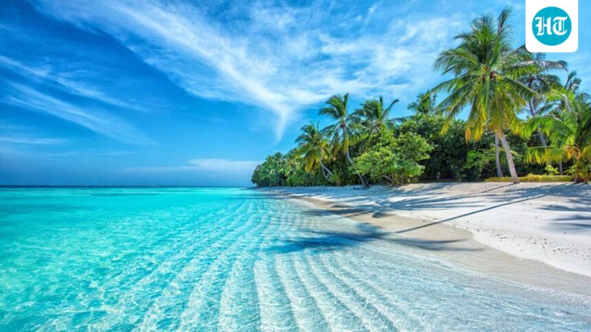 national-commercial-bank-issues-advice-to-indians-traveling-to-the-maldives-on-strict-anti-drug-laws