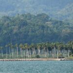 rahul-gandhi-is-likely-to-visit-great-nicobar-this-weekend