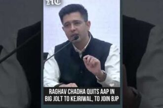 raghav-chadha,-swati-maliwal:-complete-list-of-7-aap-rajya-sabha-mps-merging-with-bjp