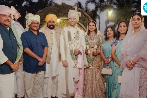 aap-‘marriage’-mocked-after-raghav-chadha’s-‘toxic’-charge:-‘because-this-party-made-you-rajya-sabha-mp’