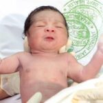 from-a-scientific-standpoint:-do-firstborn-children-really-perform-better-because-of-germs?