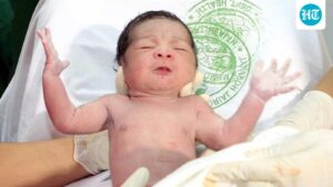 from-a-scientific-standpoint:-do-firstborn-children-really-perform-better-because-of-germs?