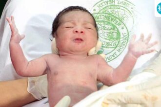 from-a-scientific-standpoint:-do-firstborn-children-really-perform-better-because-of-germs?