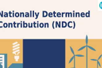 india-submits-revised-ndcs;-signs-of-insufficient-means-of-implementation