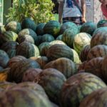 mumbai-couple-and-daughters-die-after-eating-meal:-did-eating-watermelon-lead-to-death?-investigation-on