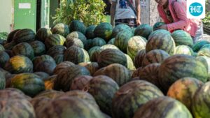 mumbai-couple-and-daughters-die-after-eating-meal:-did-eating-watermelon-lead-to-death?-investigation-on