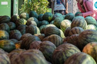 mumbai-couple-and-daughters-die-after-eating-meal:-did-eating-watermelon-lead-to-death?-investigation-on