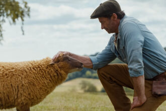 the-sheep-detectives-movie-review:-hugh-jackman,-emma-thompson-and-a-top-notch-voice-cast-can’t-make-this-family-friendly-mystery