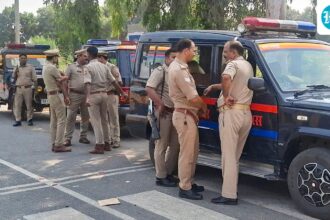 12-people-were-killed-and-several-others-were-injured-after-a-pickup-truck-collided-with-an-suv-in-madhya-pradesh