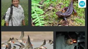 indian-conservationists-have-won-whitley-awards-for-their-work-on-threatened-wetland-species