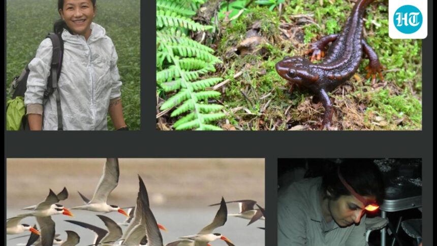 indian-conservationists-have-won-whitley-awards-for-their-work-on-threatened-wetland-species