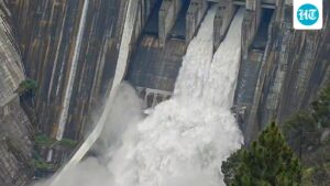 the-indus-waters-treaty:-asymmetric-commitments,-asymmetric-privileges,-and-pakistani-aggression