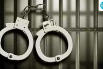 28-year-old-carpenter-held-for-murder-of-7-months-pregnant-wife:-assam-police