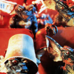 ‘gremlins’-secret-trailer-reveals-collector’s-edition-of-’80s-classic-for-first-time-since-1983-(exclusive)