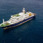 hantavirus-outbreak-on-cruise-ship-explained:-deaths,-treatment-of-the-disease,-and-more