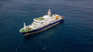 hantavirus-outbreak-on-cruise-ship-explained:-deaths,-treatment-of-the-disease,-and-more